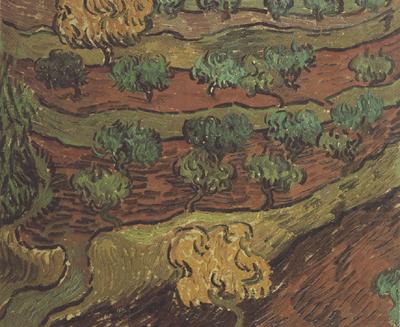 Vincent Van Gogh Olive Trees against a Slope of a Hill (nn04) china oil painting image